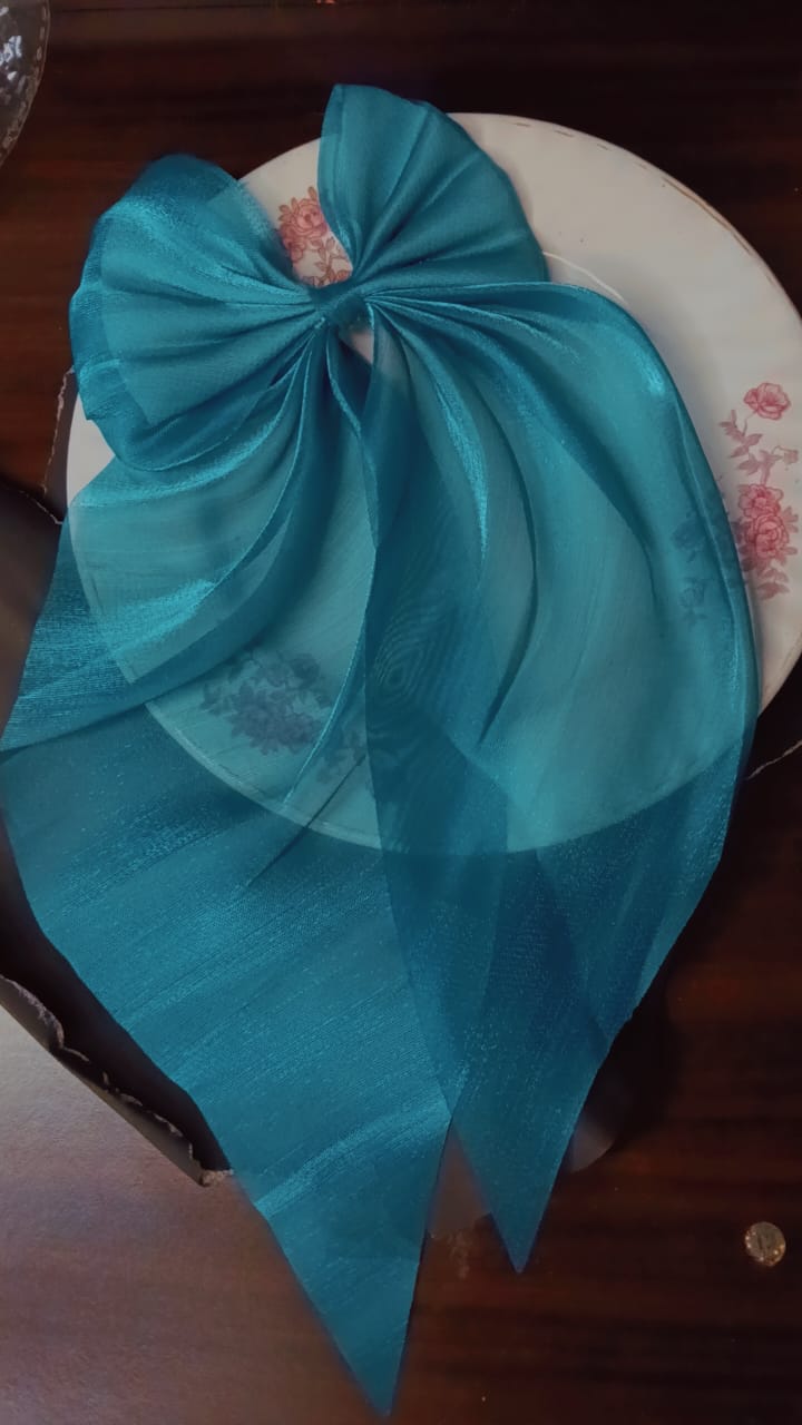 Dreamy Organza Bow Hair Clips in 6 Different Colour's - Image 6