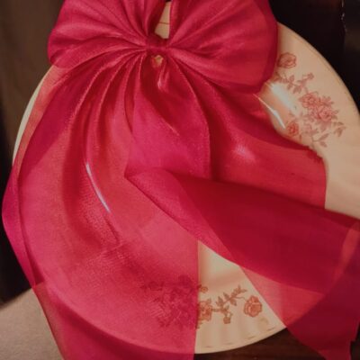 Larger sheer organza bow hair clips in multiple colors for women and girls-elegant and stylish accessory